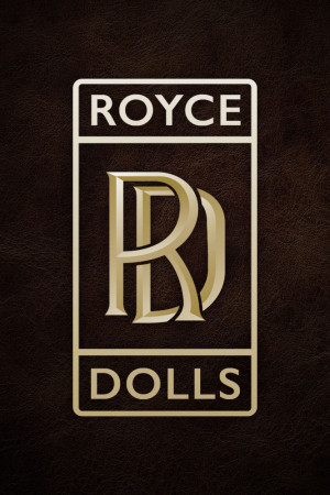 Royce Dolls